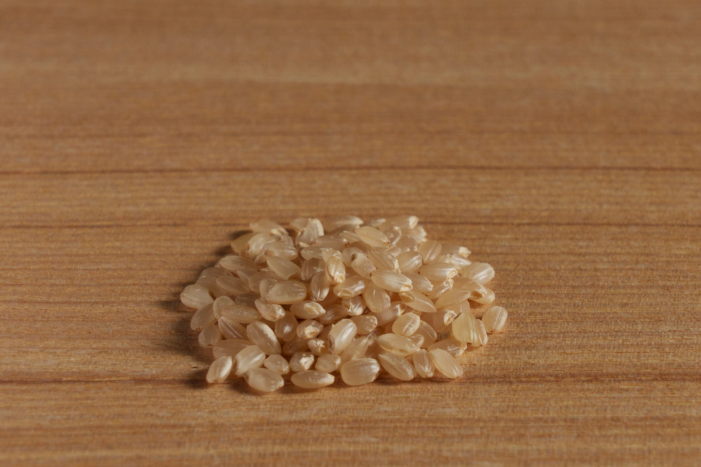 魚沼産こしひかり 玄米