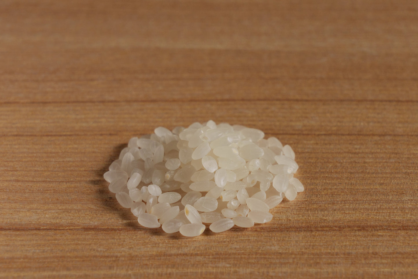 魚沼産こしひかり 白米