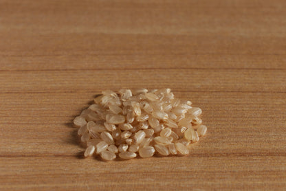 【真空パック】魚沼産こしひかり　玄米